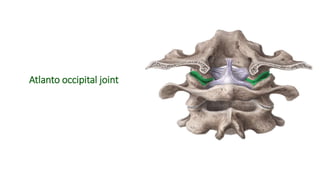 Atlanto occipital joint
 