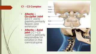 Cervical vertebra part one | PPTX