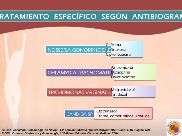 Ginecologia de novak 15 edicion pdf file