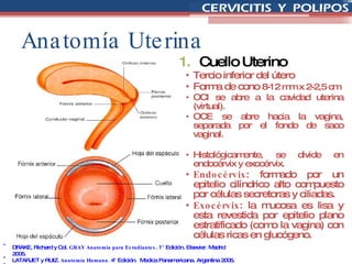 Anatomía Uterina Cuello Uterino  Tercio inferior del útero Forma de cono  8-12 mm x 2-2,5 cm  OCI se abre a la cavidad uterina (virtual). OCE se abre hacia la vagina, separada por el fondo de saco vaginal. Histológicamente, se divide en endocérvix y exocérvix. Endocérvix : formado por un epitelio cilíndrico alto compuesto por células secretoras y ciliadas. Exocérvix : la mucosa es lisa y esta revestida por epitelio plano estratificado (como la vagina) con células ricas en glucógeno. DRAKE, Richard y Col.  GRAY Anatomía para Estudiantes . 1° Edición. Elsevier. Madrid 2005. LATARJET y RUIZ.  Anatomía Humana.  4° Edición.  Medica Panamericana. Argentina 2005. GENESER, Finn.  Histología.  3° Edición. Medica Panamericana. España 2000. 