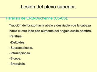 Lesión del plexo superior. Parálisis de ERB-Duchenne (C5-C6). Tracción del brazo hacia abajo y desviación de la cabeza hacia el otro lado con aumento del ángulo cuello-hombro. Parálisis : -Deltoides. -Supraespinoso. -Infraespinoso. -Biceps. -Braquialis. 