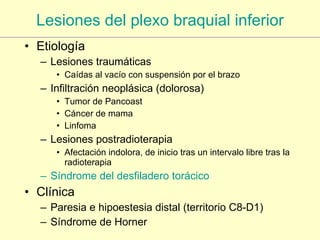 Lesiones del plexo braquial inferior Etiología Lesiones traumáticas Caídas al vacío con suspensión por el brazo Infiltración neoplásica (dolorosa) Tumor de Pancoast Cáncer de mama Linfoma Lesiones postradioterapia Afectación indolora, de inicio tras un intervalo libre tras la radioterapia Síndrome del desfiladero torácico Clínica Paresia e hipoestesia distal (territorio C8-D1) Síndrome de Horner 