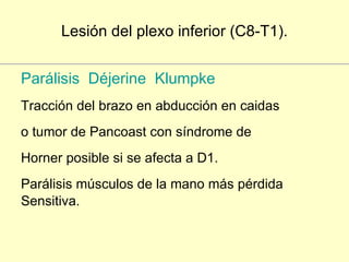 Lesión del plexo inferior (C8-T1). Parálisis  Déjerine  Klumpke Tracción del brazo en abducción en caidas o tumor de Pancoast con síndrome de Horner posible si se afecta a D1.  Parálisis músculos de la mano más pérdida Sensitiva. 