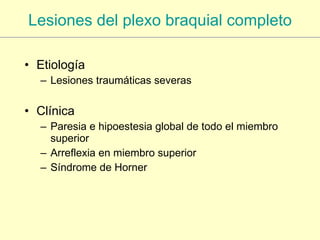 Lesiones del plexo braquial completo Etiología Lesiones traumáticas severas Clínica Paresia e hipoestesia global de todo el miembro superior Arreflexia en miembro superior Síndrome de Horner 