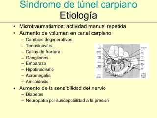 Síndrome de túnel carpiano Etiología Microtraumatismos: actividad manual repetida Aumento de volumen en canal carpiano Cambios degenerativos Tenosinovitis Callos de fractura Gangliones Embarazo Hipotiroidismo Acromegalia Amiloidosis Aumento de la sensibilidad del nervio Diabetes Neuropatía por susceptibilidad a la presión 