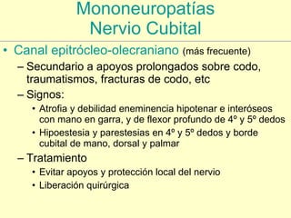 Mononeuropatías Nervio Cubital Canal  epitrócleo - olecraniano   (más frecuente) Secundario a apoyos prolongados sobre codo, traumatismos, fracturas de codo, etc Signos: Atrofia y debilidad eneminencia hipotenar e interóseos con mano en garra, y de flexor profundo de 4º y 5º dedos Hipoestesia y parestesias en 4º y 5º dedos y borde cubital de mano, dorsal y palmar Tratamiento Evitar apoyos y protección local del nervio Liberación quirúrgica 