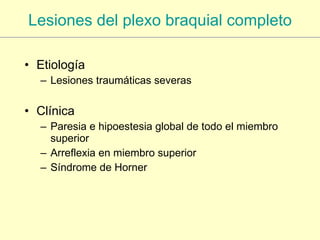 Lesiones del plexo braquial completo <ul><li>Etiología </li></ul><ul><ul><li>Lesiones traumáticas severas </li></ul></ul><...