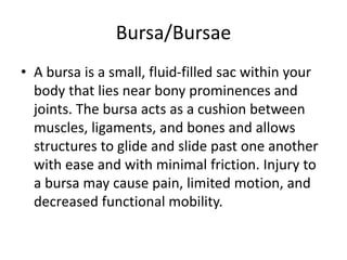 Bursa/Bursae
• A bursa is a small, fluid-filled sac within your
body that lies near bony prominences and
joints. The bursa acts as a cushion between
muscles, ligaments, and bones and allows
structures to glide and slide past one another
with ease and with minimal friction. Injury to
a bursa may cause pain, limited motion, and
decreased functional mobility.
 