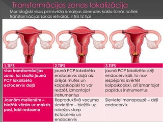 1.TIPS 2.TIPS 3.TIPS
visa transformācijas
zona, tai skaitā jaunā
PCP lokalizēta
ectocervix daļā
jaunā PCP lokalizēta
endocervix daļā aiz
ārējās mutes un
kolposkopiski to var
redzēt, izmantojot
instrumentus
jaunā PCP lokalizēta dziļi
endocervikāli, to nav
iespējams izvērtēt
kolposkopiski, arī izmantojot
papildus instrumentus
Jaunām meitenēm –
biežāk vērsta uz maksts
pusi, labi redzama
Reproduktīvā vecuma
sievietēm – biežāk uz
robežas starp
Ectocervix un
endocervix
Sievietei menopauzē – dziļi
endocervix
Morfoloģiski visas pirmsvēža izmaiņas dzemdes kakla šūnās notiek
transformācijas zonas ietvaros. Ir trīs TZ tipi
 