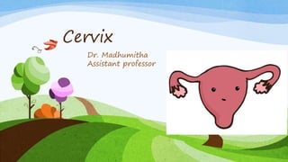 Cervix
Dr. Madhumitha
Assistant professor
 