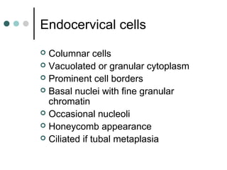 Endocervical cells
 Columnar cells
 Vacuolated or granular cytoplasm
 Prominent cell borders
 Basal nuclei with fine granular
chromatin
 Occasional nucleoli
 Honeycomb appearance
 Ciliated if tubal metaplasia
 