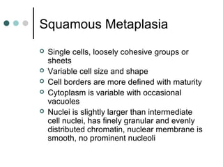 Squamous Metaplasia
 Single cells, loosely cohesive groups or
sheets
 Variable cell size and shape
 Cell borders are more defined with maturity
 Cytoplasm is variable with occasional
vacuoles
 Nuclei is slightly larger than intermediate
cell nuclei, has finely granular and evenly
distributed chromatin, nuclear membrane is
smooth, no prominent nucleoli
 