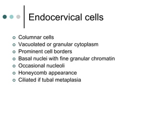 Endocervical cells
 Columnar cells
 Vacuolated or granular cytoplasm
 Prominent cell borders
 Basal nuclei with fine granular chromatin
 Occasional nucleoli
 Honeycomb appearance
 Ciliated if tubal metaplasia
 