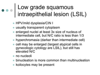 Low grade squamous
intraepithelial lesion (LSIL)
 HPV/mild dysplasia/CIN I
 usually transparent cytoplasm
 enlarged nuclei at least 3x size of nucleus of
intermediate cell, but N/C ratio is less than 1/3
 hyperchromasia (darker than intermediate cell)
 cell may be enlarged (largest atypical cells in
gynecologic cytology are LSIL), but still has
elevated N/C
 no nucleoli
 binucleation is more common than multinucleation
 koilocytes may be present
 