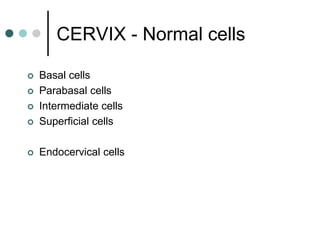 CERVIX - Normal cells
 Basal cells
 Parabasal cells
 Intermediate cells
 Superficial cells
 Endocervical cells
 