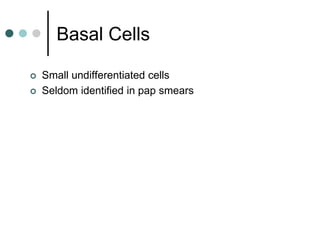 Basal Cells
 Small undifferentiated cells
 Seldom identified in pap smears
 