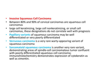 • Invasive Squamous Cell Carcinoma
• Between 80% and 90% of cervical carcinomas are squamous cell
carcinomas
• large cell keratinizing, large cell nonkeratinizing, or small cell
carcinomas, these designations do not correlate well with prognosis
• Papillary variants of squamous carcinoma may be well
differentiated or very poorly differentiated
• Verrucous carcinoma is a very rare warty-appearing variant of
squamous carcinoma
• Sarcomatoid squamous carcinoma is another very rare variant,
demonstrating areas of spindle-cell carcinomatous tumor confluent
with poorly differentiated squamous cell carcinoma;
immunohistochemistry demonstrates expression of cytokeratin as
well as vimentin.
 