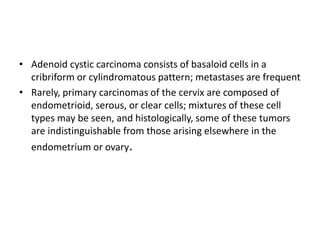 • Adenoid cystic carcinoma consists of basaloid cells in a
cribriform or cylindromatous pattern; metastases are frequent
• Rarely, primary carcinomas of the cervix are composed of
endometrioid, serous, or clear cells; mixtures of these cell
types may be seen, and histologically, some of these tumors
are indistinguishable from those arising elsewhere in the
endometrium or ovary.
 