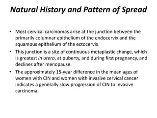 Natural History and Pattern of Spread
• Most cervical carcinomas arise at the junction between the
primarily columnar epithelium of the endocervix and the
squamous epithelium of the ectocervix.
• This junction is a site of continuous metaplastic change, which
is greatest in utero, at puberty, and during first pregnancy, and
declines after menopause.
• The approximately 15-year difference in the mean ages of
women with CIN and women with invasive cervical cancer
indicates a generally slow progression of CIN to invasive
carcinoma.
 