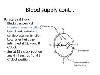 Paracervical Injection cervix anatomy and its clinical implication.pptx