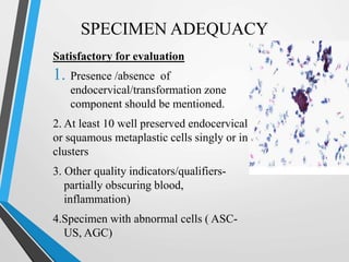 SPECIMEN ADEQUACY
Satisfactory for evaluation
1. Presence /absence of
endocervical/transformation zone
component should be mentioned.
2. At least 10 well preserved endocervical
or squamous metaplastic cells singly or in
clusters
3. Other quality indicators/qualifiers-
partially obscuring blood,
inflammation)
4.Specimen with abnormal cells ( ASC-
US, AGC)
 