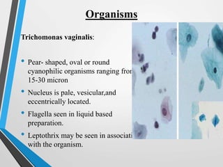 Organisms
Trichomonas vaginalis:
• Pear- shaped, oval or round
cyanophilic organisms ranging from
15-30 micron
• Nucleus is pale, vesicular,and
eccentrically located.
• Flagella seen in liquid based
preparation.
• Leptothrix may be seen in association
with the organism.
 