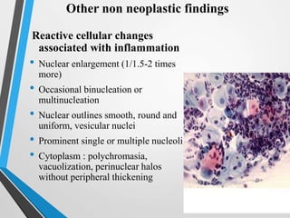 Other non neoplastic findings
Reactive cellular changes
associated with inflammation
• Nuclear enlargement (1/1.5-2 times
more)
• Occasional binucleation or
multinucleation
• Nuclear outlines smooth, round and
uniform, vesicular nuclei
• Prominent single or multiple nucleoli
• Cytoplasm : polychromasia,
vacuolization, perinuclear halos
without peripheral thickening
 
