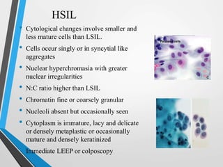 HSIL
• Cytological changes involve smaller and
less mature cells than LSIL.
• Cells occur singly or in syncytial like
aggregates
• Nuclear hyperchromasia with greater
nuclear irregularities
• N:C ratio higher than LSIL
• Chromatin fine or coarsely granular
• Nucleoli absent but occasionally seen
• Cytoplasm is immature, lacy and delicate
or densely metaplastic or occasionally
mature and densely keratinized
• Immediate LEEP or colposcopy
 
