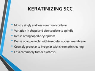 KERATINIZING SCC
• Mostly singly and less commonly cellular
• Variation in shape and size caudate to spindle
• Dense orangeophilic cytoplasm
• Dense opaque nuclei with irrregular nuclear membrane
• Coarsely granular to irregular with chromatin clearing
• Less commonly tumor diathesis
 