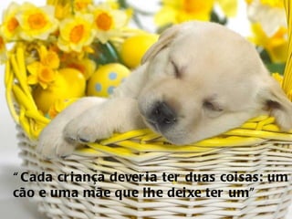 “ Cada criança deveria ter duas coisas: um cão e uma mãe que lhe deixe ter um” 