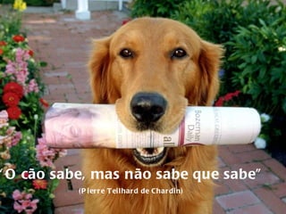 “ O cão sabe, mas não sabe que sabe” (Pierre Teilhard de Chardin) 