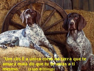 “ Um cão é a única coisa na terra que te amará mais do que tu te amas a ti mesmo.”  (Josh Billings) 