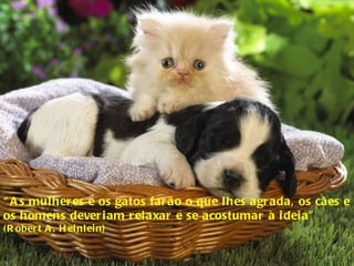“ As mulheres e os gatos farão o que lhes agrada, os cães e os homens deveriam relaxar e se acostumar à ideia”  (Robert A. Heinlein) 