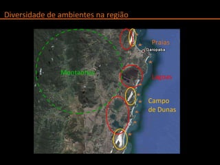 Diversidade de ambientes na região  Praias Lagoas Campo de Dunas Montanhas 