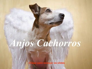 Anjos Cachorros Clique para avançar os slides 