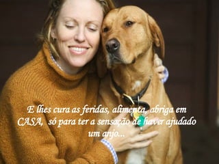 E lhes cura as feridas, alimenta, abriga em CASA,  só para ter a sensação de haver ajudado um anjo... 