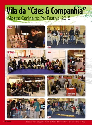 10 Cães&Companhia
Vila da “Cães & Companhia”
Mostra Canina no Pet Festival 2015
Pode ver mais fotografias da Vila da “Cães & Companhia” e dos Encontros de Raça
 