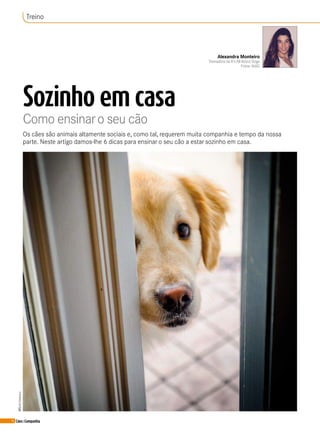 16 Cães&Companhia
Sozinho em casa
Como ensinaro seu cão
©ShutterStock
Os cães são animais altamente sociais e, como tal, requerem muita companhia e tempo da nossa
parte. Neste artigo damos-lhe 6 dicas para ensinar o seu cão a estar sozinho em casa.
Treino
Alexandra Monteiro
Treinadora da It's All About Dogs
Fotos: IAAD
 