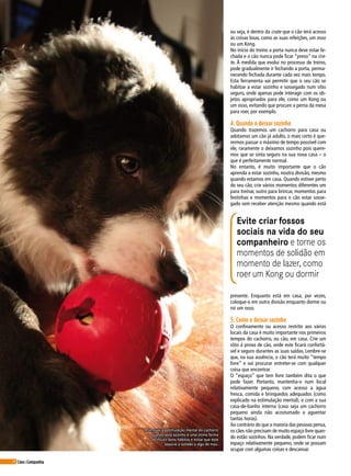18 Cães&Companhia
ou seja, é dentro da crate que o cão terá acesso
às coisas boas, como as suas refeições, um osso
ou um Kong.
No início do treino a porta nunca deve estar fe-
chada e o cão nunca pode ficar “preso” na cra-
te. À medida que evolui no processo de treino,
pode gradualmente ir fechando a porta, perma-
necendo fechada durante cada vez mais tempo.
Esta ferramenta vai permitir que o seu cão se
habitue a estar sozinho e sossegado num sítio
seguro, onde apenas pode interagir com os ob-
jetos apropriados para ele, como um Kong ou
um osso, evitando que procure a perna da mesa
para roer, por exemplo.
4. Quando o deixar sozinho
Quando trazemos um cachorro para casa ou
adotamos um cão já adulto, o mais certo é que-
rermos passar o máximo de tempo possível com
ele, raramente o deixamos sozinho pois quere-
mos que se sinta seguro na sua nova casa – o
que é perfeitamente normal.
No entanto, é muito importante que o cão
aprenda a estar sozinho, noutra divisão, mesmo
quando estamos em casa. Quando estiver perto
do seu cão, crie vários momentos diferentes um
para treinar, outro para brincar, momentos para
festinhas e momentos para o cão estar sosse-
gado sem receber atenção mesmo quando está
Evite criar fossos
sociais na vida do seu
companheiro e torne os
momentos de solidão em
momento de lazer, como
roer um Kong ou dormir
presente. Enquanto está em casa, por vezes,
coloque-o em outra divisão enquanto dorme ou
roi um osso.
5. Como o deixar sozinho
O confinamento ou acesso restrito aos vários
locais da casa é muito importante nos primeiros
tempos do cachorro, ou cão, em casa. Crie um
sítio à prova de cão, onde este ficará confortá-
vel e seguro durantes as suas saídas. Lembre-se
que, na sua ausência, o cão terá muito “tempo
livre” e vai procurar entreter-se com qualquer
coisa que encontrar.
O “espaço” que tem livre também dita o que
pode fazer. Portanto, mantenha-o num local
relativamente pequeno, com acesso a água
fresca, comida e brinquedos adequados (como
explicado na estimulação mental), e com a sua
casa-de-banho interna (caso seja um cachorro
pequeno ainda não acostumado a aguentar
tantas horas).
Ao contrário do que a maioria das pessoas pensa,
os cães não precisam de muito espaço livre quan-
do estão sozinhos. Na verdade, podem ficar num
espaço relativamente pequeno, onde se possam
ocupar com algumas coisas e descansar.
Promover a estimulação mental do cachorro
quando está sozinho é uma ótima forma
de incutir bons hábitos e evitar que este
associe a solidão a algo de mau.
 
