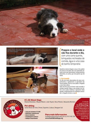 Prepare o local onde o
cão fica durante o dia,
com uma cama quente,
brinquedos recheados de
comida, água e uma casa
de banho temporária
Quando o cachorro está cansado, física e mentalmente,
e quer descansar, pode ser deixado num local do seu agrado,
como a apanhar sol no pátio, pois, mesmo quando estamos
em casa, convém que aprenda gradualmente a ficar sozinho.
Quando o cachorro está a dormir deixe-o sozinho, para que
aprenda que estar sozinho é bom. Aproveite esses momentos
para o deixar sossegado.
A estimulação mental é muito importante,
dê ao cachorro um ossinho e deixe que
este permaneça sozinho enquanto o rói.
Quando os tutores chegam a casa,aí sim,podem
ter acesso à casa toda, sob a sua supervisão, evi-
tando assim que desenvolvam comportamentos
destrutivos, ou outros, que não querem que ele
repita.
6. Seja tranquilo
Os cães são muito observadores do nosso com-
portamento e rapidamente se apercebem dos
nossos padrões.Torne as suas saídas e chegadas
a casa mais calmas.
Tente não lhe tocar de forma muito excitada e
enérgica quando chega a casa, porque isso mo-
tiva o cão a pular, mordiscar e apresentar todos
aqueles comportamentos de exaltação associa-
dos à chegada do dono a casa.n
 