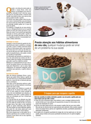 21Cães&Companhia
Preste atenção aos hábitos alimentares
do seu cão, qualquer mudança pode ser sinal
de um problema na sua saúde
Q
uando o cão deixa de comer pode ser
devido a causas físicas, como uma
doença, ou psicológicas, por estar de-
primido ou stressado. A dor é uma das causas
pela qual um cão pode perder o interesse pela
comida. Uma ferida na boca, uma cárie ou uma
doença podem tirar-lhe o apetite.
Os animais mais velhos podem sofrer de artro-
ses e como o movimento lhes causa dor deixam
de ir até ao prato da comida. Mas os problemas
de estômago também podem ser a causa da
perda de apetite.
As mudanças, a chegada de um novo animal a
casa ou o desaparecimento de um ser querido
podem ser outras das razões que levam o cão a
deixar de comer. Se um animal está deprimido,
stressado ou nervoso, pode perder o apetite. O
normal é que recupere passados uns dias, mas
se a inapetência persiste, é recomendável con-
sultar o médico veterinário.
Investigue as causas
Averiguar a causa da perda de apetite do cão é
importante para atacar o problema e conseguir
que volte a comer. O médico veterinário levará
a cabo um check up para saber o que se passou.
Mas temos de ter em conta que não deve pas-
sar mais de 48 horas sem ingerir alimento, pois
pode ser prejudicial para a sua saúde; se assim
for, consulte um especialista.
As informações que passamos ao veterinário so-
bre o cão, como pessoa que convive com ele e o
conhece melhor que ninguém, são fundamentais
para saber o que tira o apetite ao animal.
Mudanças no comportamento do cão ou da ro-
tina de casa podem oferecer uma valiosa orien-
tação para diagnosticar o que se passa. Após
implementar um tratamento adequado contra
o problema que apresenta, o apetite voltará a
aparecer.
Está farto da comida
Além das diversas patologias físicas e psico-
lógicas que podem deitar abaixo o apetite do
cão, estar farto da sua comida habitual também
pode ser a causa de não se interessar pelo que
está no comedouro.
Além disso, se lhe oferecemos petiscos e gulo-
seimas fora da sua dieta habitual, é normal que
depois não coma a ração.
A idade também tem influência na perda de
apetite do cão. Os animais mais velhos, a par-
tir de 10 anos, podem ter menos vontade de
comer; têm uma mobilidade mais reduzida, um
metabolismo mais lento e podem padecer de
dores nas articulações, por isso é normal que
comam menos.
Se o cão está farto do seu alimento seco habi-
tual pode ficar mais entusiasmado se adicionar-
mos uma colher de comida em lata e um pouco
de água morna. Para saber se está realmente
apático ou apenas aborrecido, pode oferecer-
-lhe várias opções em pratos diferentes (galinha,
paté, vaca). Se o cão comer, saberá que é uma
questão de aborrecimento e não de doença.
Mas nunca esqueça que os cães podem ser re-
almente caprichosos com a comida e muitos es-
cravizam os seus donos com os seus caprichos
alimentares.n
3 truques para que recupere o apetite
Além dos conselhos do médico veterinário, quando o seu cão perde o apetite pode usar
estes truques para que volte a comer:
1. Fazer com que os alimentos sejam mais atrativos e, para o conseguir, podemos dar-lhe
comida húmida que é mais saborosa. Se aquecermos um pouco no micro-ondas o cão
ficará mais interessado em comer.
2. Dar-lhe uma dieta caseira até que o cão recupere o apetite, fará com que coma melhor.
Mas este tipo de alimento deve ser supervisionado pelo veterinário. Não se podem preparar
menus de qualquer forma, apenas com ingredientes concretos, quantidades apropriadas e
elaborados corretamente.
3. As rações com uma grande quantidade de energia são uma boa opção para um cão sem
apetite, porque embora coma pouca quantidade de alimento, tem um aporte energético
suficiente.
Averiguar a causa da perda de apetite
do cão é importante para atacar
o problema e conseguir que volte a comer.
Se lhe oferecermos petiscos e guloseimas
for da sua dieta habitual, é normal que
depois não coma a ração.
 