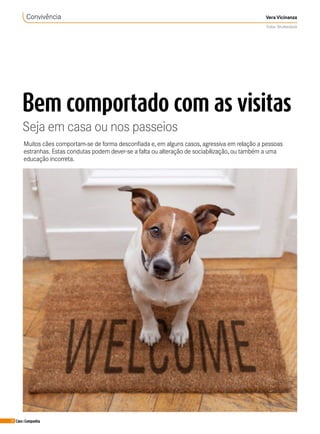 30 Cães&Companhia
Convivência Vera Vicinanza
Fotos: Shutterstock
Bem comportado com as visitas
Seja em casa ou nos passeios
Muitos cães comportam-se de forma desconfiada e, em alguns casos, agressiva em relação a pessoas
estranhas. Estas condutas podem dever-se a falta ou alteração de sociabilização, ou também a uma
educação incorreta.
 