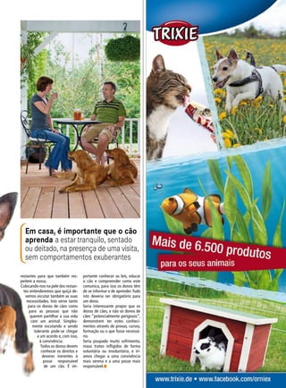 portante conhecer as leis, educar
o cão e compreender como este
comunica, para isso os donos têm
de se informar e de aprender.Tudo
isto deveria ser obrigatório para
um dono.
Seria interessante propor que os
donos de cães, e não só donos de
cães “potencialmente perigosos”,
demonstrem ter estes conheci-
mentos através de provas, cursos,
formação ou o que fosse necessá-
rio.
Seria poupado muito sofrimento,
maus tratos infligidos de forma
voluntária ou involuntária, e irí-
amos chegar a uma convivência
mais serena e a uma posse mais
responsável.n
Em casa, é importante que o cão
aprenda a estar tranquilo, sentado
ou deitado, na presença de uma visita,
sem comportamentos exuberantes
restantes para que também res-
peitem a nossa.
Colocando-nos na pele dos restan-
tes entenderemos que quiçá de-
vemos escutar também as suas
necessidades. Isto serve tanto
para os donos de cães como
para as pessoas que não
querem partilhar a sua vida
com um animal. Simples-
mente escutando e sendo
tolerante pode-se chegar
a um acordo e, com isso,
à convivência.
Todos os donos devem
conhecer os direitos e
deveres inerentes à
posse responsável
de um cão. É im-
 