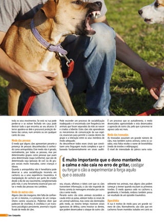 36 Cães&Companhia
trola os seus movimentos. Se está na rua pode
perder-se e se estiver fechado em casa pode
destruir tudo o que encontra ao seu alcance. O
terror apodera-se dele e procurará proteção de-
baixo das camas, num armário ou em qualquer
canto da casa.
Medo das pessoas
O medo que alguns cães apresentam perante a
presença de pessoas desconhecidas é conheci-
do como antropofobia. Este medo não é gerado,
normalmente, por todas as pessoas, mas por
determinados grupos como pessoas que usam
uma determinada roupa (uniforme), que são de
determinada raça (pessoas de cor) ou de gru-
pos sociais muito marcados, como crianças e
idosos.
Quando a antropofobia não é hereditária pode
dever-se a uma sociabilização incorreta em
cachorro ou a uma experiência traumática. A
manipulação do cachorro por parte do criador
desde o dia do seu nascimento, complementada
pela mãe, é uma ferramenta essencial para evi-
tar o medo das pessoas nos canídeos.
Medo de outros cães
Alguns cães são inseguros, têm falta de confian-
ça em si mesmos, e a presença de um compa-
nheiro canino assusta-os. Podemos dizer que
padecem de cinofobia. A cinofobia é um trans-
torno psicológico persistente, anormal e injusti-
ficado de medo de cães.
Pode esconder um processo de sociabilização
inadequado e é encontrada com frequência em
animais que foram separados da mãe ao nascer
e criados a biberão. Estes cães não aprenderam
os mecanismos de comunicação da sua espé-
cie, essenciais para permitir a coesão dentro do
grupo e a interação entre os seus membros de
modo adequado.
Ao desconhecer todos esses sinais que consti-
tuem uma linguagem muito complexa e que é
baseada fundamentalmente em sinais auditi-
É muito importante que o dono mantenha
a calma e não caia no erro de gritar, castigar
ou forçaro cão a experimentarà força aquilo
que o assusta
vos, visuais, olfativos e táteis com que os cães
transmitem informação, o cão não responde de
forma correta às mensagens enviadas por outro
cão e sente medo.
Perante outro cão estes animais escondem a
cauda entre as patas, adotam todos os sinais de
um animal submisso, mas como são dominados
pelo medo, ao mesmo tempo mostram sinais
agressivos de defesa, como mostrar os dentes,
que podem desencadear o ataque do outro cão.
É um processo que se autoalimenta, o medo
desencadeia agressividade e esta desencadeia
a agressão do outro cão, pelo que o processo se
agrava cada vez mais.
Medo das trovoadas
As trovoadas assustam um grande número de
cães, mas também outros animais, como os ca-
valos; esta fobia recebe o nome de brontofobia
(medo de trovões e relâmpagos).
O nível de intensidade do pânico varia nota-
velmente nos animais, mas alguns cães podem
começar a tremer quando escutam os primeiros
trovões. O medo aparece cedo no cachorro e,
geralmente, é herdado, embora também possa
ser resultado de um episódio traumático.
Agorafobia
A rua é motivo de medo para um grande nú-
mero de cães. Normalmente, são cães que em
cachorros foram mantidos isolados em canis ou
 
