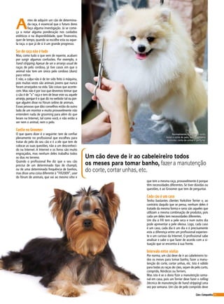 45Cães&Companhia
A
ntes de adquirir um cão de determina-
da raça, é essencial que o futuro dono
faça alguma investigação. Já se come-
ça a notar alguma ponderação nos cuidados
estéticos e na disponibilidade, quer financeira,
quer de tempo, quando se escolhe esta ou aque-
la raça. o que já de si é um grande progresso.
Ser de raça não é tudo
Mas, como tudo o que vem de repente, acabam
por surgir algumas confusões. Por exemplo, o
hand stripping.Apesar de ser o arranjo usual de
raças de pelo cerdoso, já tive casos em que o
animal não tem um único pelo cerdoso (duro)
para retirar.
E não, a culpa não é de ter sido feito à máquina,
pois muitas vezes são animais jovens que nunca
foram arranjados na vida. São coisas que aconte-
cem. Mas não é por isso que devemos teimar que
o cão é de “x” raça e tem de levar este ou aquele
arranjo, porque é o que diz no website tal ou por-
que alguém disse no Fórum online de animais.
Essas pessoas que dão conselhos estão do outro
lado de um monitor e muito provavelmente não
entendem nada de grooming para além do que
leram na Internet, tal como você, e não estão a
ver nem o animal, nem o pelo.
Confie no Groomer
O que quero dizer é o seguinte: tem de confiar
plenamente no profissional que escolheu para
tratar do pelo do seu cão e é a ele que tem de
colocar as suas questões, não a um desconheci-
do na Internet. A Internet e os livros são muito
engraçados, mas nenhum deles trabalha todos
os dias no terreno.
Quando o profissional lhe diz que o seu cão
precisa de um determinado tipo de champô,
ou de uma determinada frequência de banhos,
mas disse uma coisa diferente à “Fifi2009”, user
do fórum de animais, que vai ao mesmo sítio e
Um cão deve de ir ao cabeleireiro todos
os meses para tomar banho, fazer a manutenção
do corte, cortar unhas, etc.
que tem a mesma raça, provavelmente é porque
têm necessidades diferentes. Se tiver dúvidas ou
questões, é ao Groomer que tem de perguntar.
Cada cão é um caso
Tenho bastantes clientes Yorkshire Terrier e, ao
contrário daquilo que se pensa, nenhum deles é
tratado da mesma forma e raros são aqueles que
utilizam a mesma combinação de produtos, pois
cada um deles tem necessidades diferentes.
Um dia a Fifi tem a pele seca e num outro dia
pode apresentar a pele oleosa. Logo, cada caso
é um caso, cada dia é um dia e é precisamente
esta a diferença entre um profissional experien-
te e um curioso da Internet. O profissional sabe
analisar e sabe o que fazer de acordo com a si-
tuação que se encontra à sua frente.
Intervalo entre visitas
Por norma, um cão deve de ir ao cabeleireiro to-
dos os meses para tomar banho, fazer a manu-
tenção do corte, cortar unhas, etc. Isto é válido
para todas as raças de cães, sejam de pelo curto,
comprido, Nórdicos ou Terriers.
Mas isto é se o dono fizer a manutenção sema-
nal em casa, pois um Terrier deve fazer o rolling
(técnica de manutenção de hand stripping) uma
vez por semana. Um cão de pelo comprido deve
Normalmente, o preço do corte,
inclui o corte do pelo, banho, limpeza
auricular, corte de unhas e perfume.
 