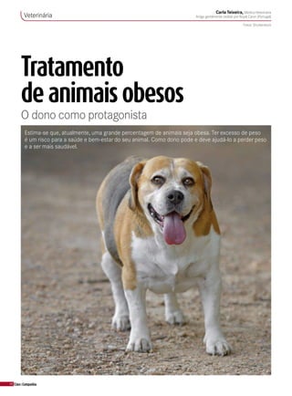 48 Cães&Companhia
Tratamento
de animais obesos
O dono como protagonista
Estima-se que, atualmente, uma grande percentagem de animais seja obesa. Ter excesso de peso
é um risco para a saúde e bem-estar do seu animal. Como dono pode e deve ajudá-lo a perder peso
e a ser mais saudável.
Veterinária
Carla Teixeira, MédicaVeterinária
Artigo gentilmente cedido porRoyal Canin (Portugal)
Fotos: Shutterstock
 