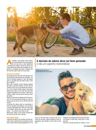 5Cães&Companhia
A decisão de adotar deve ser bem pensada
e não um capricho momentâneoA
verdade é que muitas vezes coloca-
mos estas questões face ao desejo de
ter um cão, mas o mais importante
é deixado para depois. Antes de pensar em
como deveria ser, temos que averiguar se cum-
primos as condições para que a relação com
ele funcione, pelo menos da nossa parte.
Não siga um impulso
Há muitas pessoas que antes de adotarem um
cão já sabem o que querem, por exemplo, “um
cão de tamanho pequeno e que não largue
pelo, se possível que não ladre muito, e tem
de ser fêmea”.
Mas, pelo contrário, outras pessoas gostam
de seguir o primeiro impulso: “A mim não me
importa como é, fico com aquele que conquis-
tar o meu coração. Tenho espaço, mas pouco
tempo para estar com ele, por isso levo dois
e fazem companhia um ao outro”. Visto isto o
melhor é seguir umas premissas básicas antes
de adotar.
Nunca vá atrás de um impulso de um dia, por-
que foi com uma pessoa amiga ao canil ou
passou por uma loja e viu um cachorrinho. Isto
nunca!
A decisão de adotar deve ser ponderada e
não um capricho momentâneo, caso contrário
à mesma velocidade que entra em casa pode
sair também. Pense uma vez, duas vezes, três
vezes… um animal é para toda a vida.
Além disso, todos os que vivem consigo têm
de estar de acordo com a decisão.
Uma relação longa
A decisão de adotar um cão deve ser bem pen-
sada e não o capricho de um momento, já que
esse animal viverá aproximadamente uns 12
anos, no caso dos cães, um pouco mais se se
tratar de um gato e alguns pássaros, como os
papagaios, que chegam a viver mais do que
nós.
Implique-se verdadeiramente porque devolver
um animal é muito duro, tanto para si como
para ele.
Ficará de coração partido ao chegar a casa
O tempo que lhe dedicamos
é mais importante do que o espaço.
 