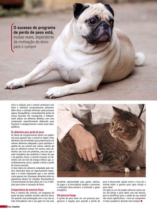 50 Cães&Companhia
peso é demasiado rápida existe o risco de o
animal voltar a ganhar peso após atingir o
peso ideal.
Um gato ou um cão podem demorar vários me-
ses até atingir o peso ideal, mas não desista,
pois os benefícios para a saúde do seu animal
são muito significativos – terá um companhei-
ro mais saudável e durante mais tempo! n
O sucesso do programa
de perda de peso está,
muitas vezes, dependente
da motivação do dono
para o cumprir
não é a solução, pois o animal continuará com
fome e solicitará constantemente alimentos.
Além disso, a restrição alimentar pode provocar
alguns desequilíbrios, nomeadamente perda de
massa muscular. Por conseguinte, é indispen-
sável utilizar um alimento dietético com uma
composição especificamente elaborada para
favorecer o emagrecimento e evitar esses dese-
quilíbrios.
Os alimentos para perda de peso
As dietas de emagrecimento devem ser palatá-
veis para garantir que o animal as ingere. Estes
alimentos são formulados para proporcionar um
volume alimentar adequado e para satisfazer o
apetite do seu animal com menos calorias do
que um alimento normal. Por norma, estes ali-
mentos são ricos em proteínas, uma vez que o
valor energético das proteínas é menor do que
o da gordura. Assim, o animal consome um ali-
mento com um teor de energia inferior que, si-
multaneamente, sacia o apetite e limita a perda
de massa muscular.
A dose diária de alimento estipulada pelo mé-
dico veterinário deve ser rigorosamente respei-
tada e é muito importante que o seu animal
coma apenas isso. Quaisquer alimentos extra ou
guloseimas devem ser evitados. Recomenda-se
o fracionamento da dose diária em 3 ou 4 refei-
ções para evitar a sensação de fome.
A importância do exercício físico
Para a maioria dos animais, um programa de
perda de peso também envolve exercício físico.
Um passeio mais prolongado com o seu cão ou
mais brincadeiras com o seu gato irá criar uma
excelente oportunidade para gastar calorias.
Os jogos e as brincadeiras ajudam a promover
a interação dono-animal e a estimular o gasto
energético.
Um processo longo
A perda de peso deve ser um processo pro-
gressivo e regular, pois quando a perda de
 