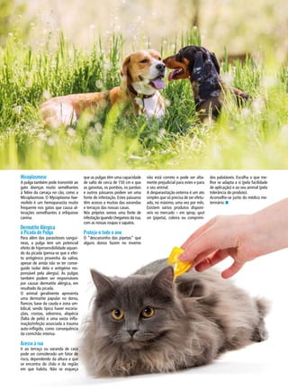 que as pulgas têm uma capacidade
de salto de cerca de 150 cm e que
as gaivotas, os pombos, os pardais
e outros pássaros podem ser uma
fonte de infestação. Estes pássaros
têm acesso a muitas das varandas
e terraços das nossas casas.
Nós próprios somos uma fonte de
infestação quando chegamos da rua,
com as nossas roupas e sapatos.
Proteja-o todo o ano
O “descansinho das pipetas” que
alguns donos fazem no inverno
Micoplasmose
A pulga também pode transmitir ao
gato doenças muito semelhantes
à febre da carraça no cão, como a
Micoplasmose. O Mycoplasma hae-
mofelis é um hemoparasita muito
frequente nos gatos que causa al-
terações semelhantes à erliquiose
canina.
Dermatite Alérgica
à Picada de Pulga
Para além das parasitoses sanguí-
neas, a pulga tem um potencial
efeito de hipersensibilidade aquan-
do da picada (pensa-se que o efei-
to antigénico provenha da saliva,
apesar de ainda não se ter conse-
guido isolar dela o antigénio res-
ponsável pela alergia). As pulgas
também podem ser responsáveis
por causar dermatite alérgica, em
resultado da picada.
O animal geralmente apresenta
uma dermatite papular no dorso,
flancos, base da cauda e zona um-
bilical, sendo típico haver escoria-
ções, crostas, seborreia, alopécia
(falta de pelo) e uma vasta infla-
mação/infeção associada a trauma
auto-infligido, como consequência
da comichão intensa.
Acesso à rua
Ir ao terraço ou varanda de casa
pode ser considerado um fator de
risco, dependendo da altura a que
se encontra do chão e da região
em que habita. Não se esqueça
não está correto e pode ser alta-
mente prejudicial para estes e para
o seu animal.
A desparasitação externa é um ato
simples que só precisa de ser efetu-
ado, no máximo, uma vez por mês.
Existem vários produtos disponí-
veis no mercado – em spray, spot
on (pipeta), coleira ou comprimi-
dos palatáveis. Escolha o que me-
lhor se adapta a si (pela facilidade
de aplicação) e ao seu animal (pela
tolerância do produto).
Aconselhe-se junto do médico me-
terinário. n
 