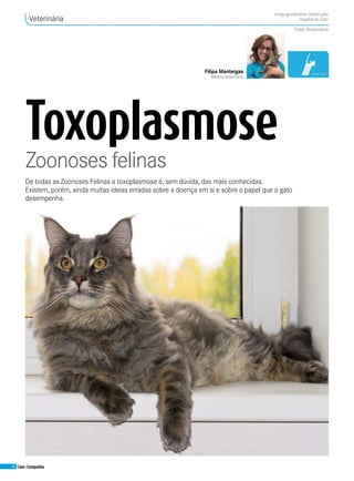 56 Cães&Companhia
Veterinária
Toxoplasmose
Zoonoses felinas
De todas as Zoonoses Felinas a toxoplasmose é, sem dúvida, das mais conhecidas.
Existem, porém, ainda muitas ideias erradas sobre a doença em si e sobre o papel que o gato
desempenha.
Filipa Manteigas
MédicaVeterinária
Artigo gentilmente cedido pelo
Hospital do Gato
Fotos: Shutterstock
 